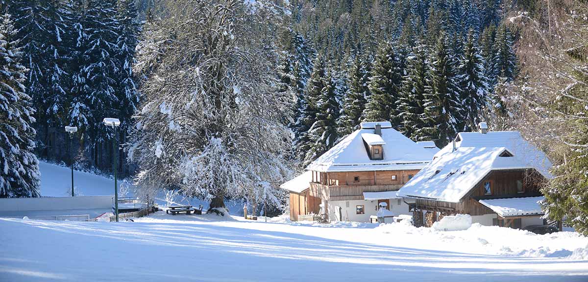 Kreuth 6 - Almhütte mieten in Kärnten