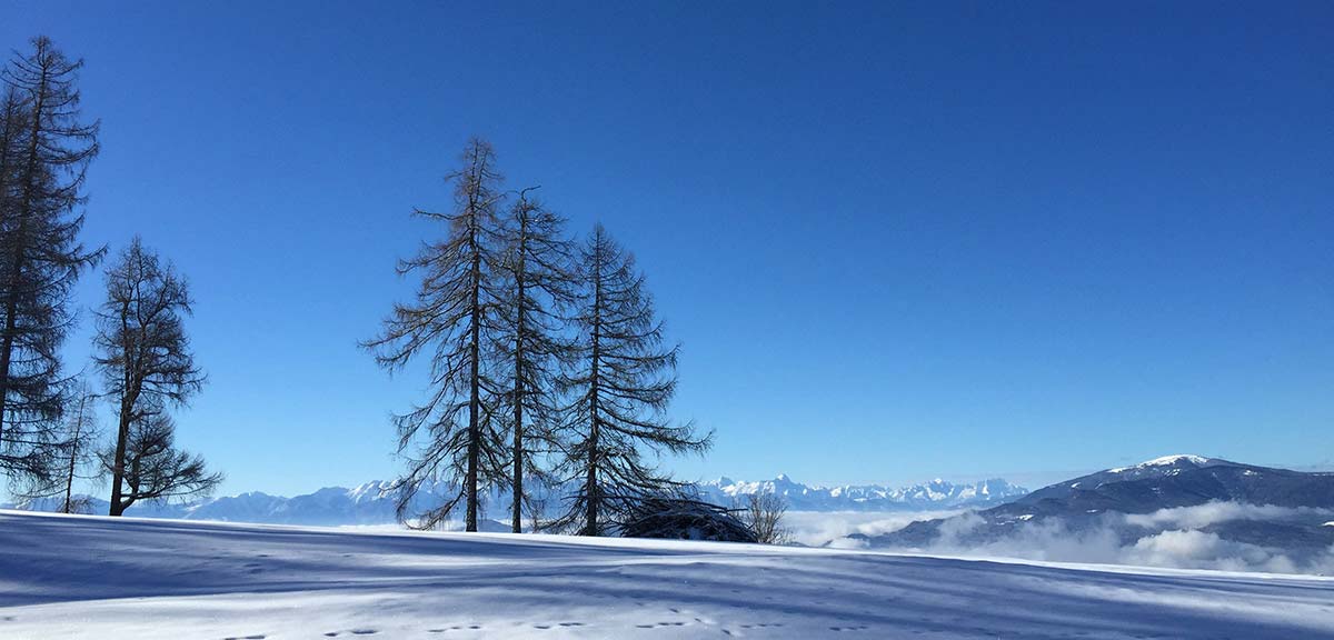 Kreuth 6 - Urlaub auf der Alm