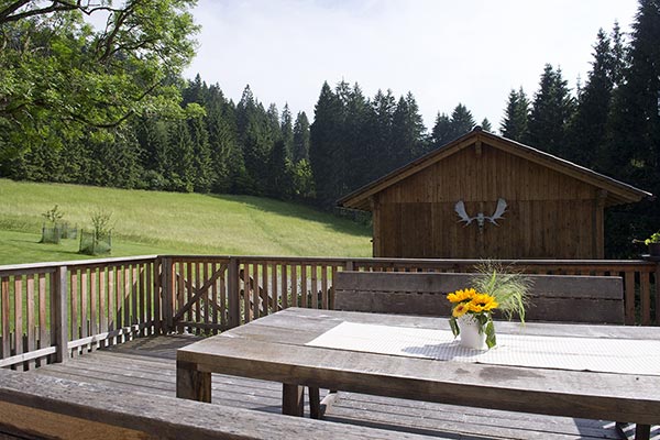 Haus Wulfenia - Almhütte mieten in Kärnten